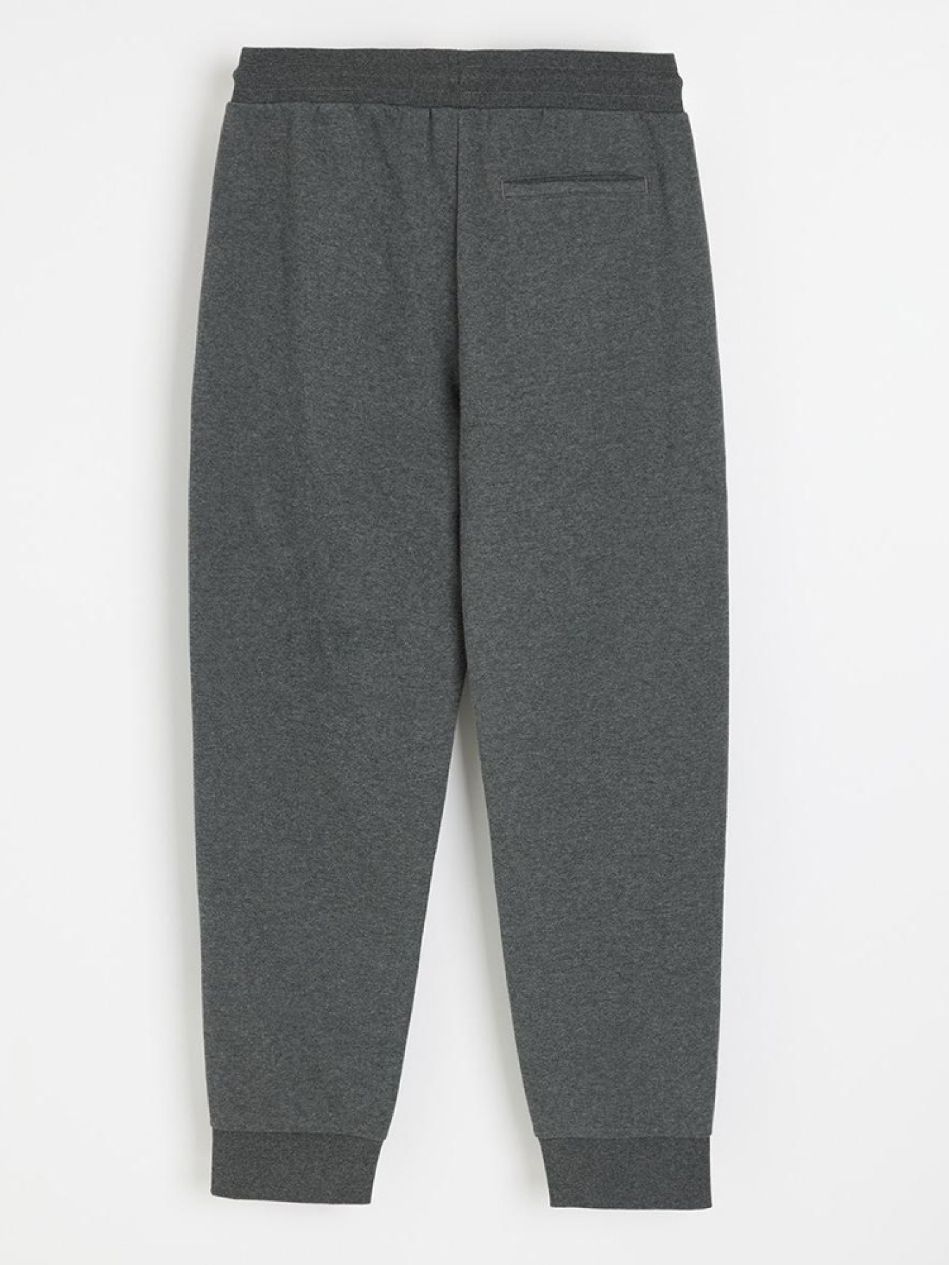 Штаны спортивные DIVERSE модель 10046141 Фото