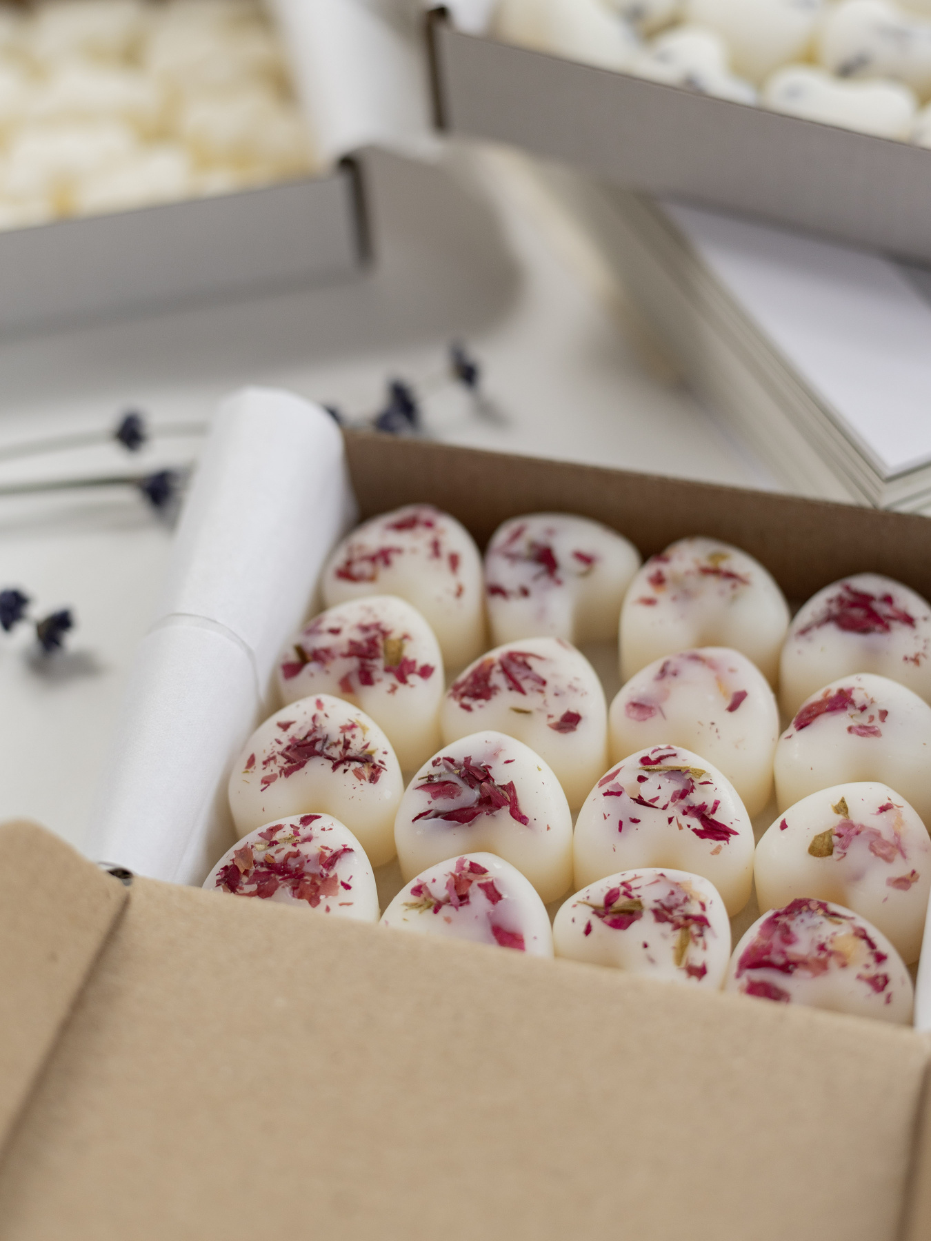 Набор ароматических саше "Сердечки" - Черная малина-ваниль, из натурального оливкового воска. 16 шт. Candle Design модель 160.2009 Фото