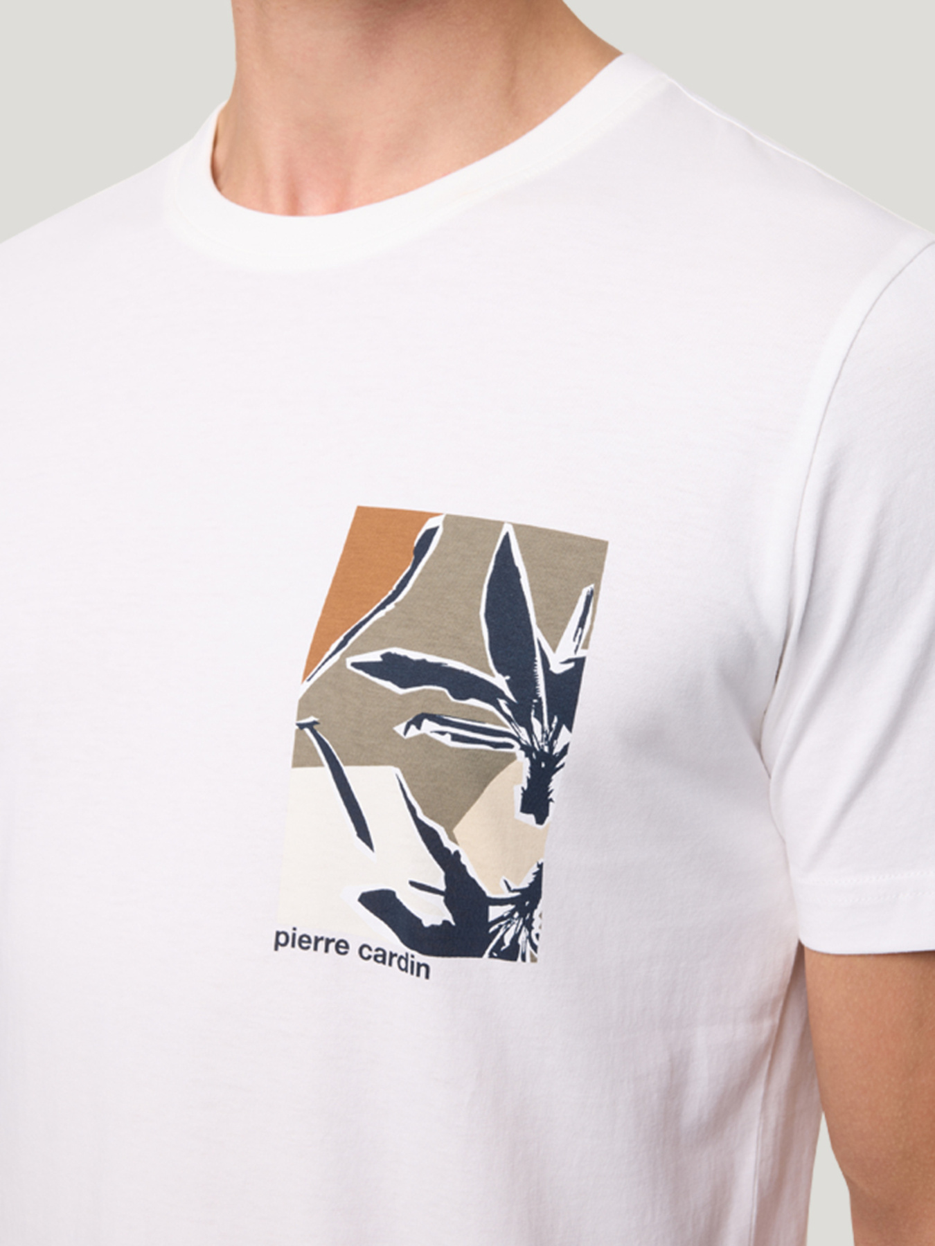 Футболка Pierre Cardin модель C5 21490.2120.1008 Фото