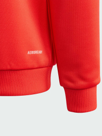 Кофта Adidas модель IK3113 Фото