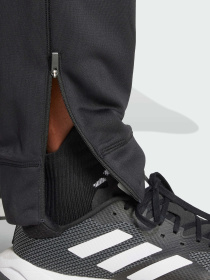 Штаны спортивные Adidas модель IN5561 Фото