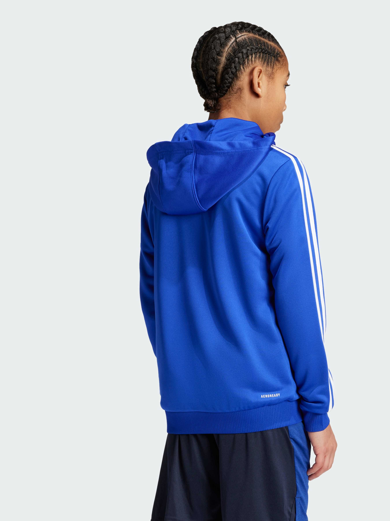 Кофта Adidas модель IP2418 Фото