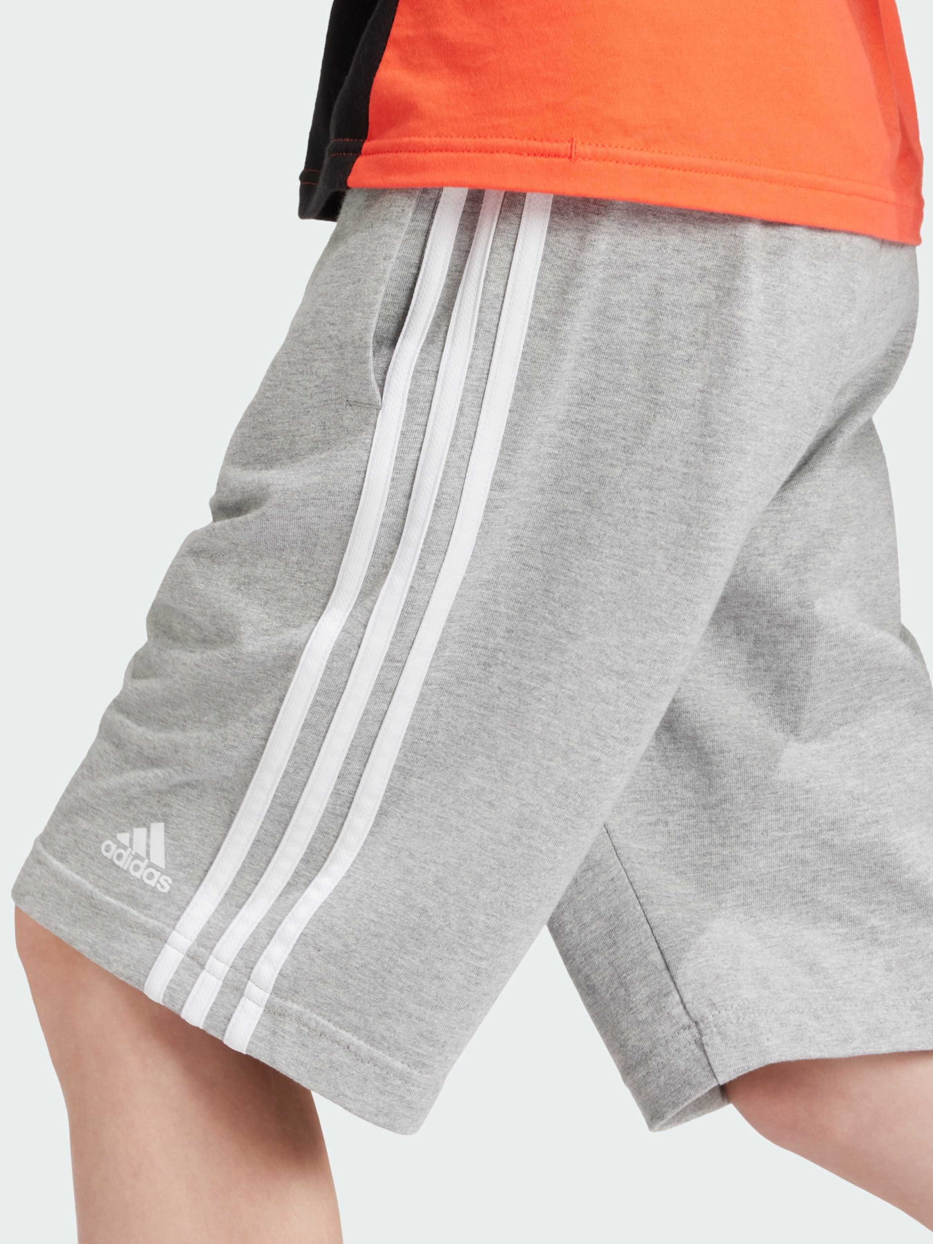 Шорти Adidas модель IS2573 Фото