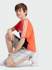 Шорти Adidas модель IS2573 Фото