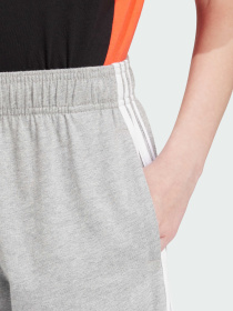 Шорти Adidas модель IS2573 Фото