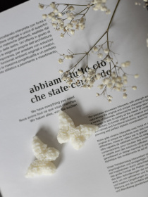 Ароматическое саше "Бабочка", аромат - Пион & магнолия, из натурального оливкового воска Candle Design модель 160.2005 Фото