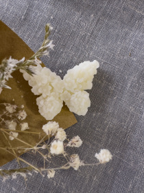 Ароматическое саше "Бабочка", аромат - Пион & магнолия, из натурального оливкового воска Candle Design модель 160.2005 Ароматическое саше "Бабочка", аромат - Пион & магнолия, из натурального оливкового воска Candle Design модель 160.2005 Фото