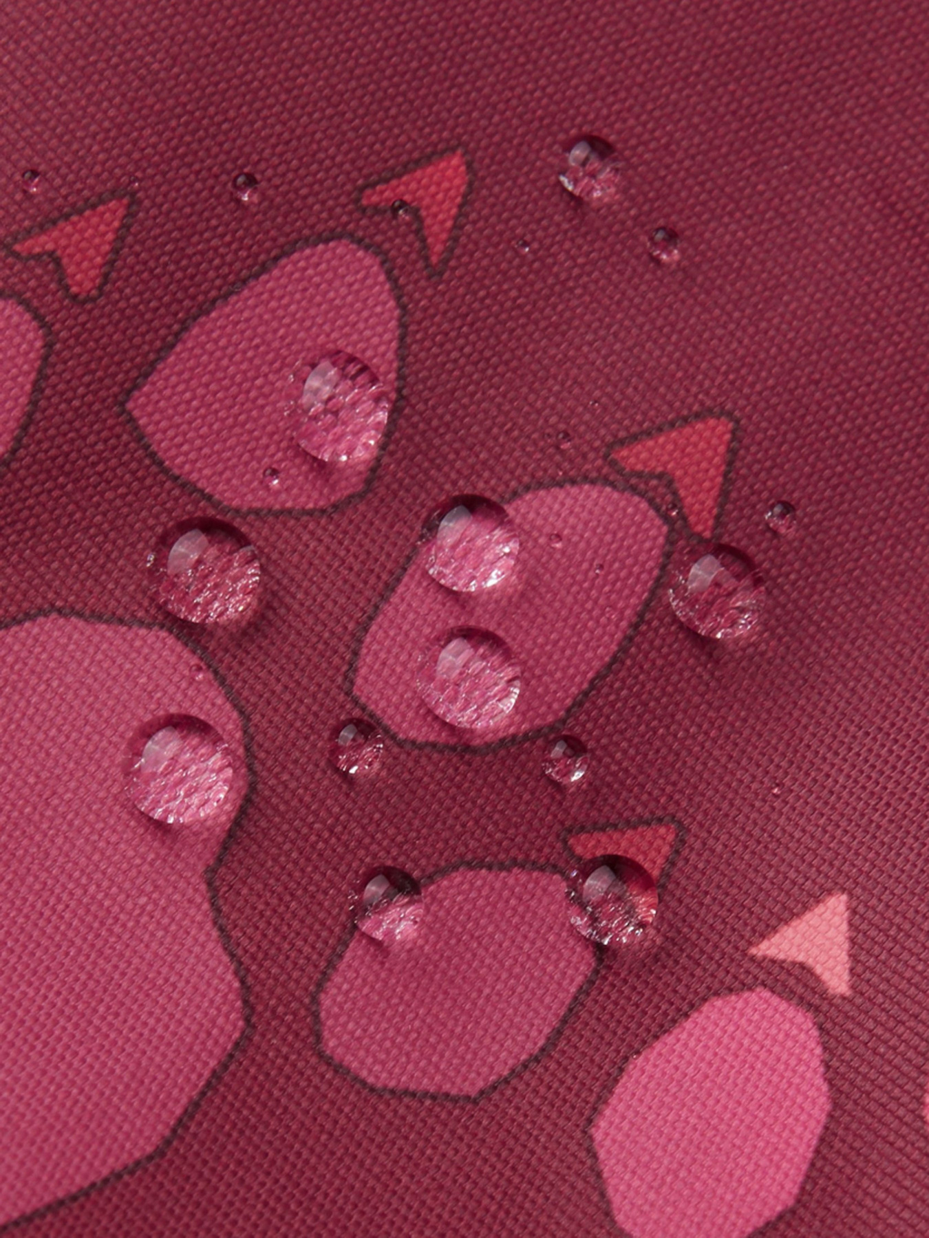 Комбінезон з утеплювачем REIMA модель 510306R_3955 Фото