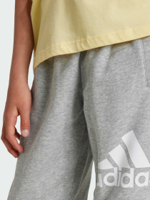 Джоггеры Adidas модель IX9587 Джоггеры Adidas модель IX9587 Фото