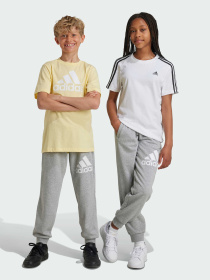 Джоггеры Adidas модель IX9587 Джоггеры Adidas модель IX9587 Фото