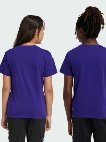 Футболка Adidas Adicolor модель IY7427 Фото