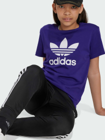 Футболка Adidas Adicolor модель IY7427 Фото