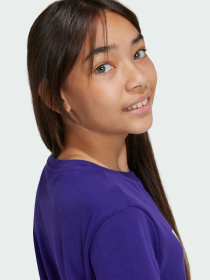 Футболка Adidas Adicolor модель IY7427 Фото