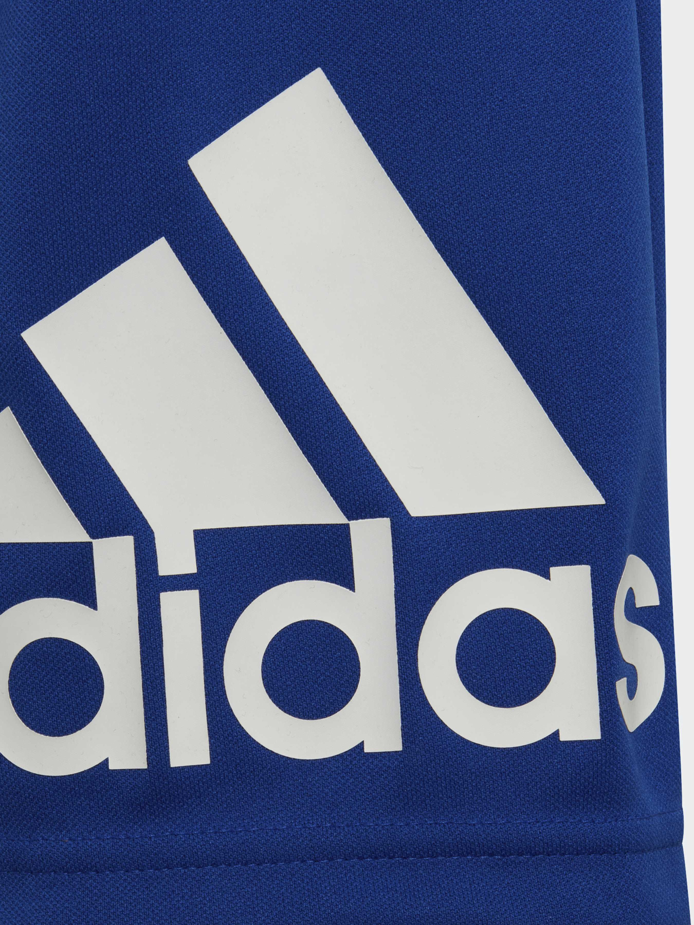 Шорти спортивні Adidas модель HE9334 Фото