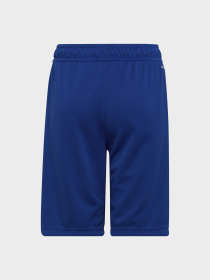 Шорты спортивные Adidas модель HE9334 Шорты спортивные Adidas модель HE9334 Фото