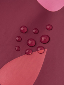 Демісезонна куртка REIMA модель 521507_3952 Фото