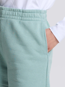 Повсякденні шорти Роза модель 231112_turquoise Фото