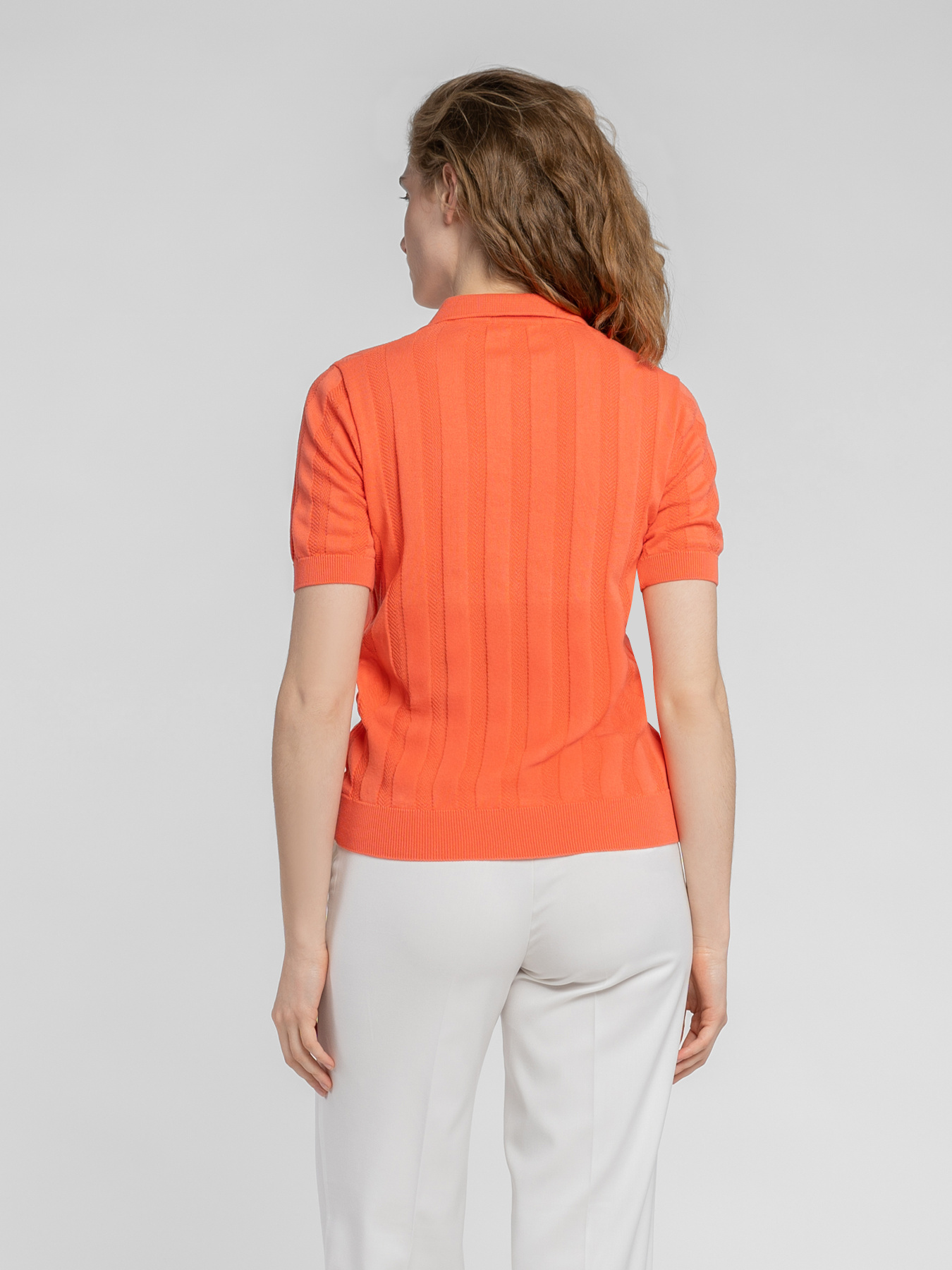 Поло Arber модель W09.23.37.523 Фото