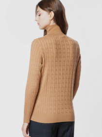 Водолазка Arber модель AOW10.05.16 Фото