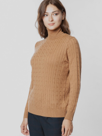 Водолазка Arber модель AOW10.05.16 Фото