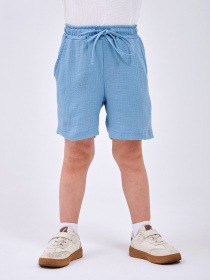 Повседневные шорты SMIL модель smil_112448-stalnoj Фото