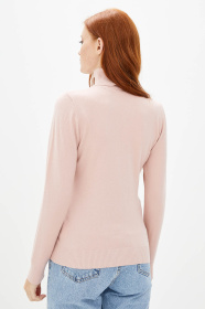 Водолазка RicaMare модель RM1457-19-1DG Фото