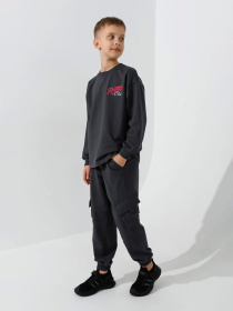 Свитшот LAWA модель 2000991050907 Свитшот LAWA модель 2000991050907 Фото