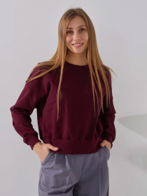 Світшот LAWA модель 2000991050617 Світшот LAWA модель 2000991050617 Фото