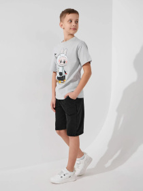 Футболки и поло Dinomin модель 2000991037663 Фото