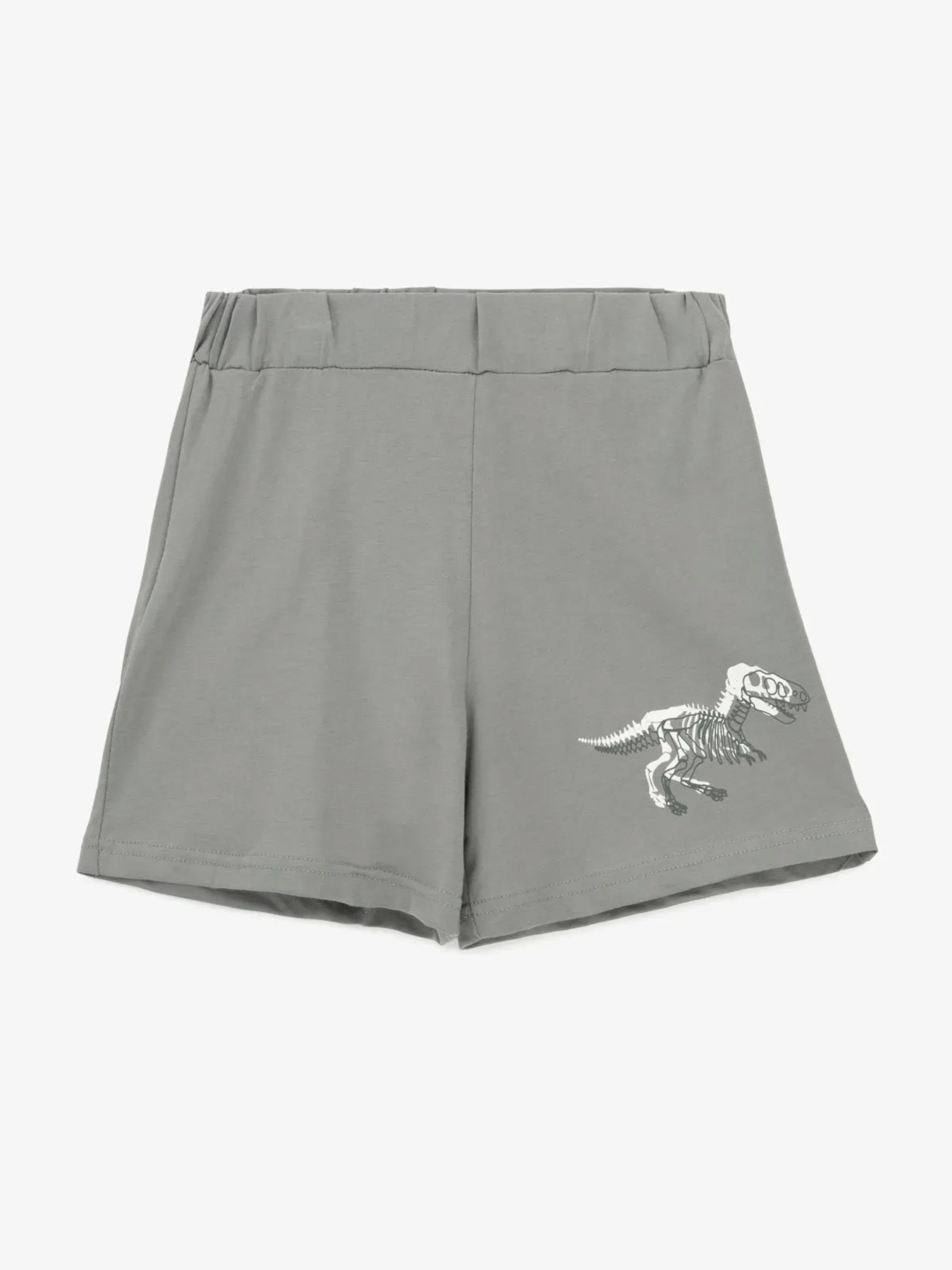 Костюм Dinomin модель 2000991040083 Фото