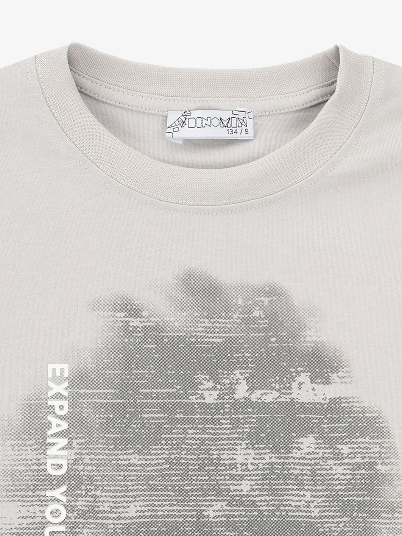 Футболки і поло Dinomin модель 2000991039476 Фото