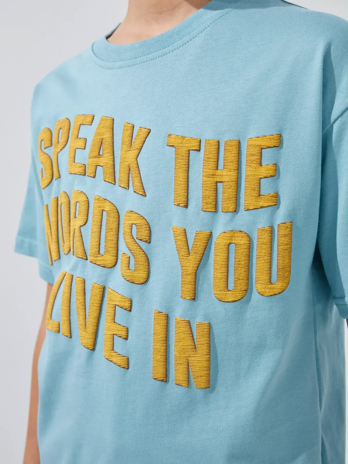 Футболки і поло Dinomin модель 2000991039872 Фото