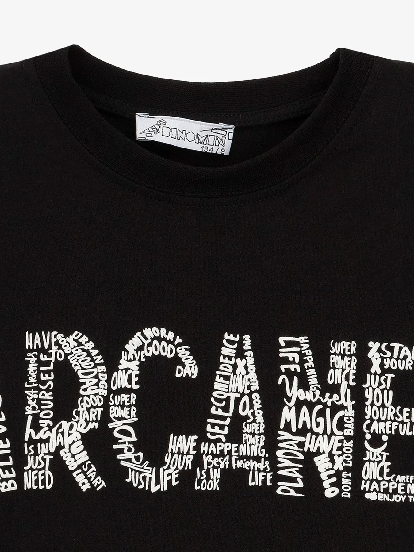 Футболки і поло Dinomin модель 2000991039728 Фото