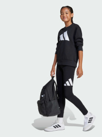 Леггинсы Adidas модель JC9632 Фото