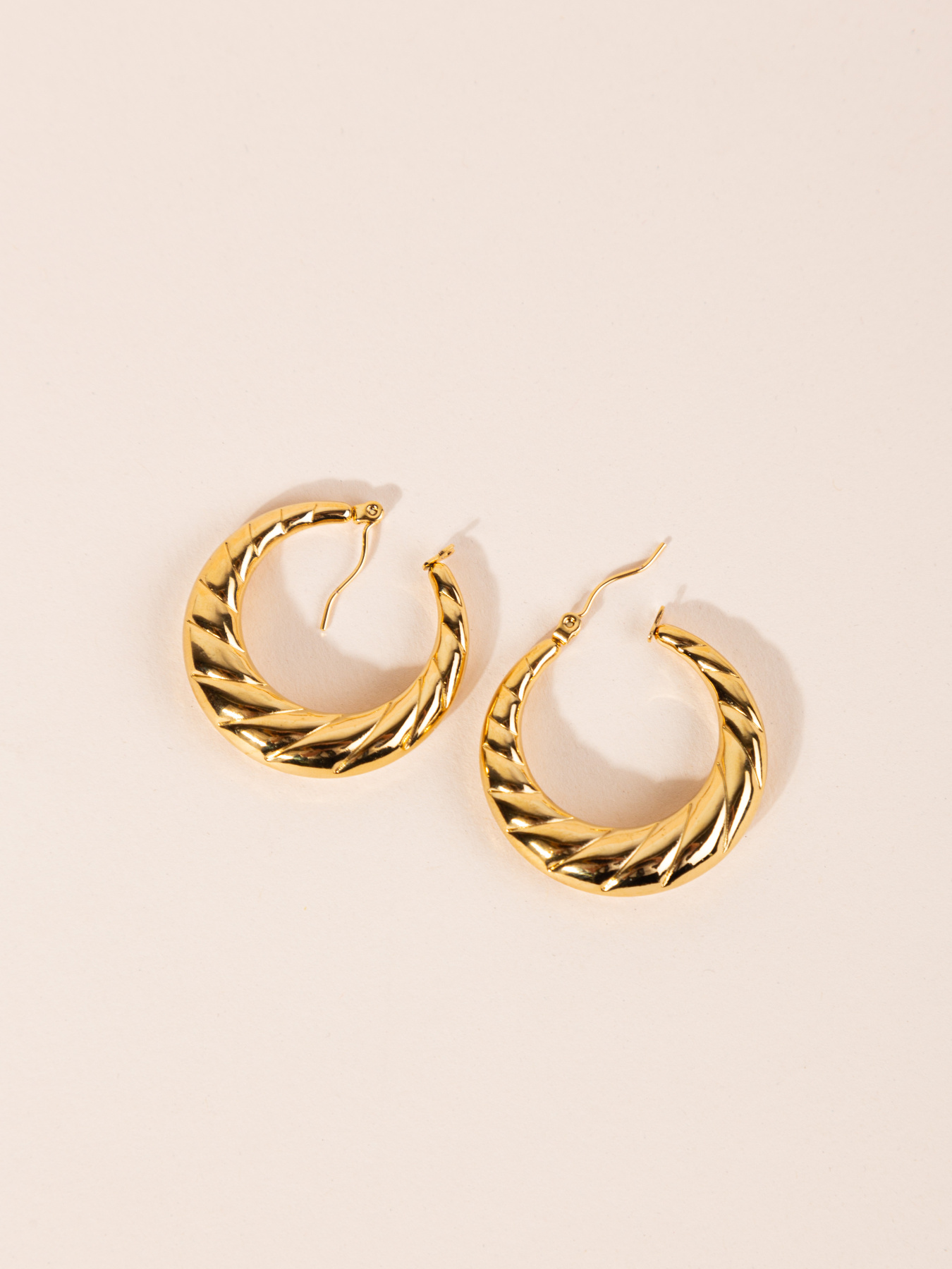 Серьги-кольца Famo модель SER-DM-20069-21_01 Фото