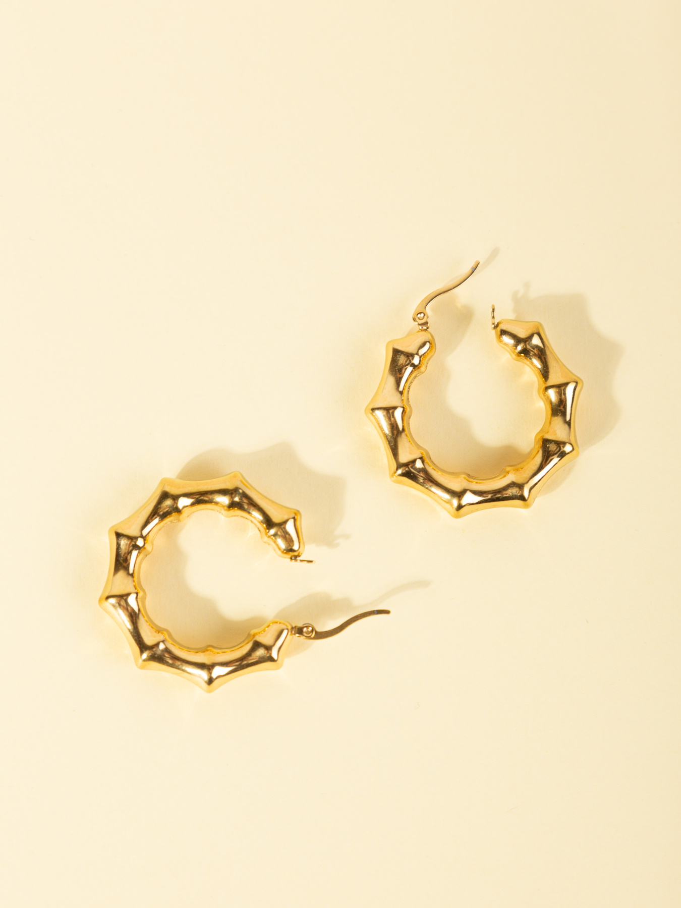 Серьги-кольца Famo модель SER-DM-189_01 Фото