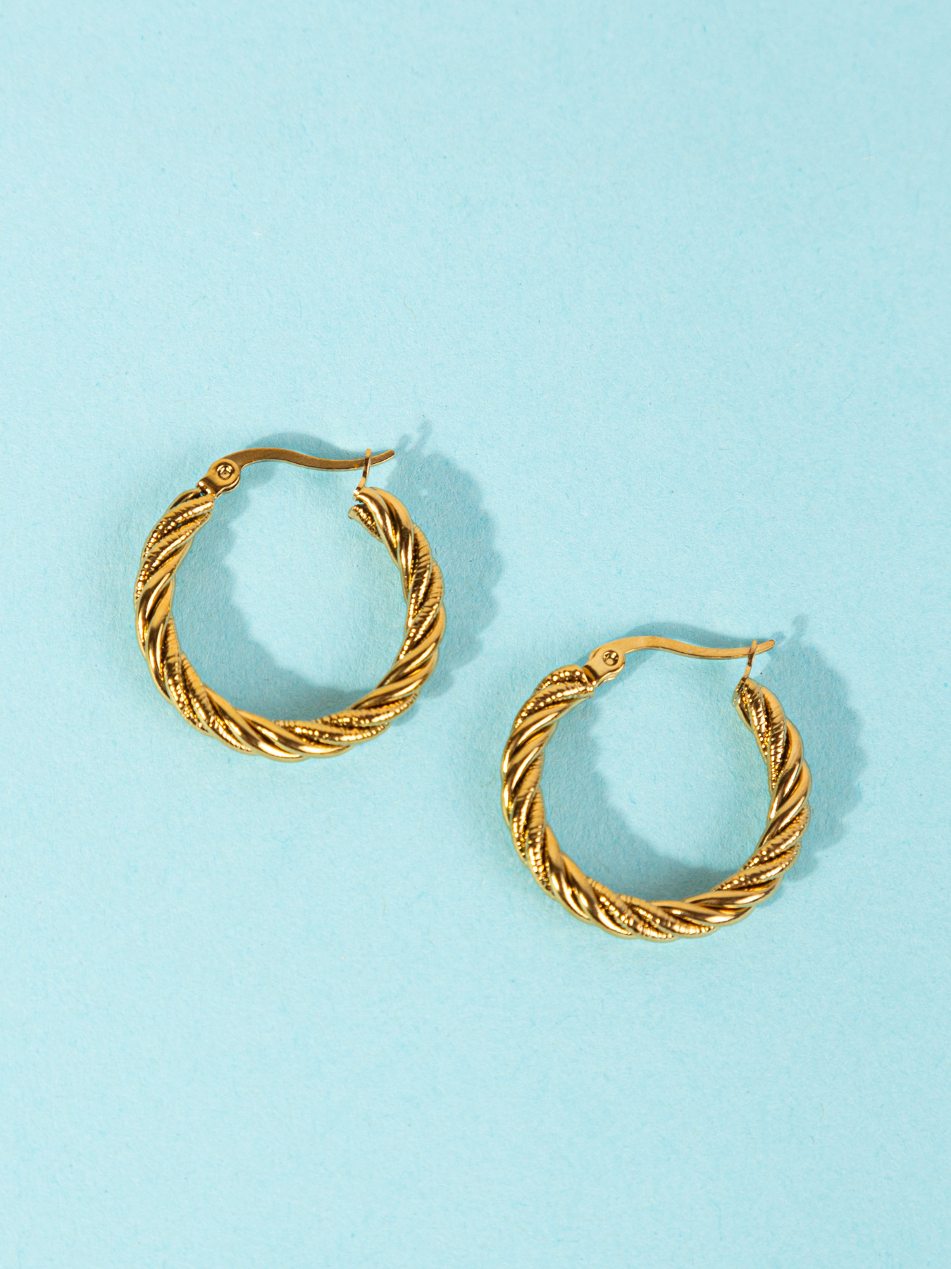 Серьги-кольца Famo модель SER-DM-20069-31_01 Фото