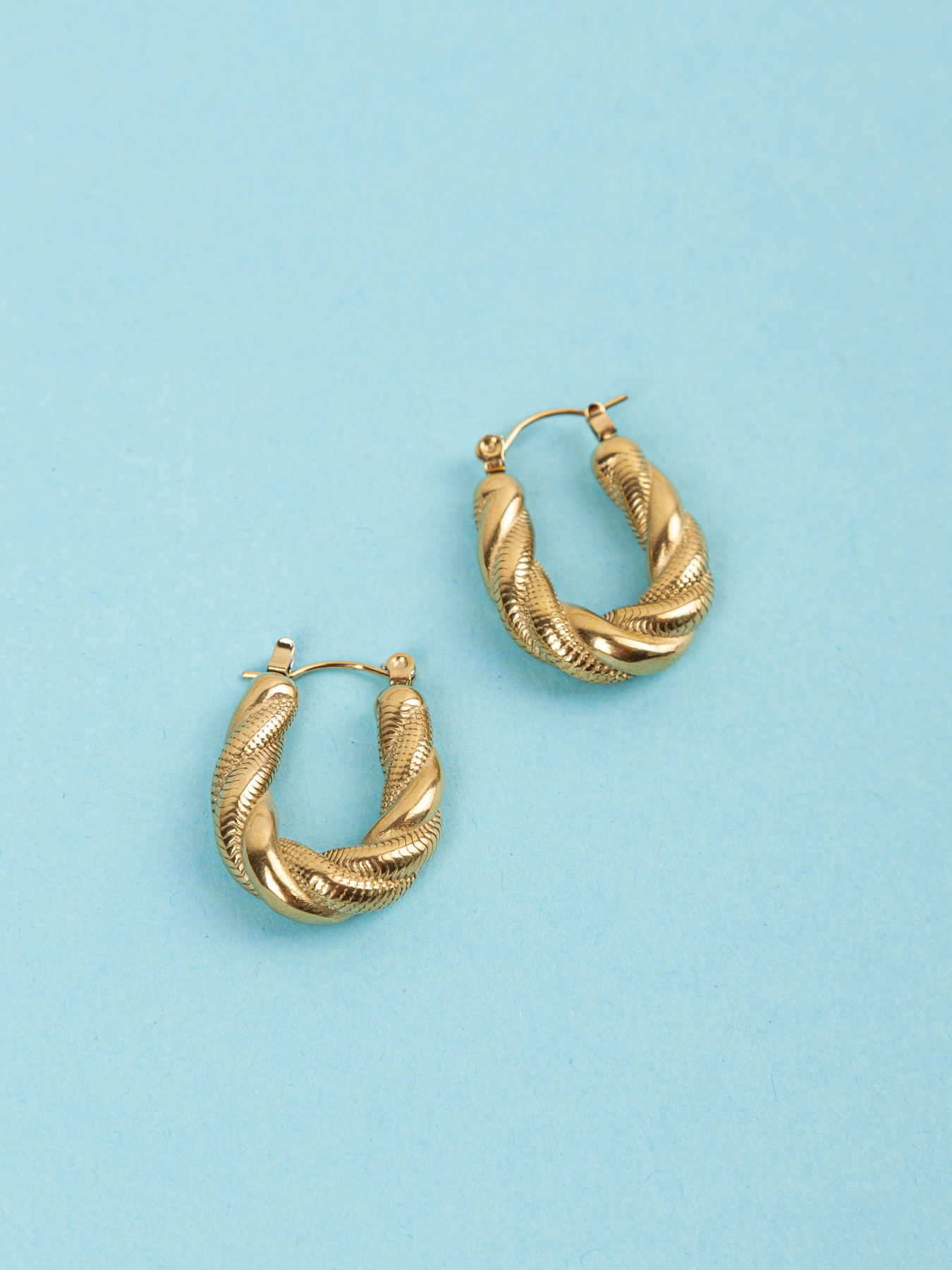 Серьги-кольца Famo модель SER-DM-193_01 Фото