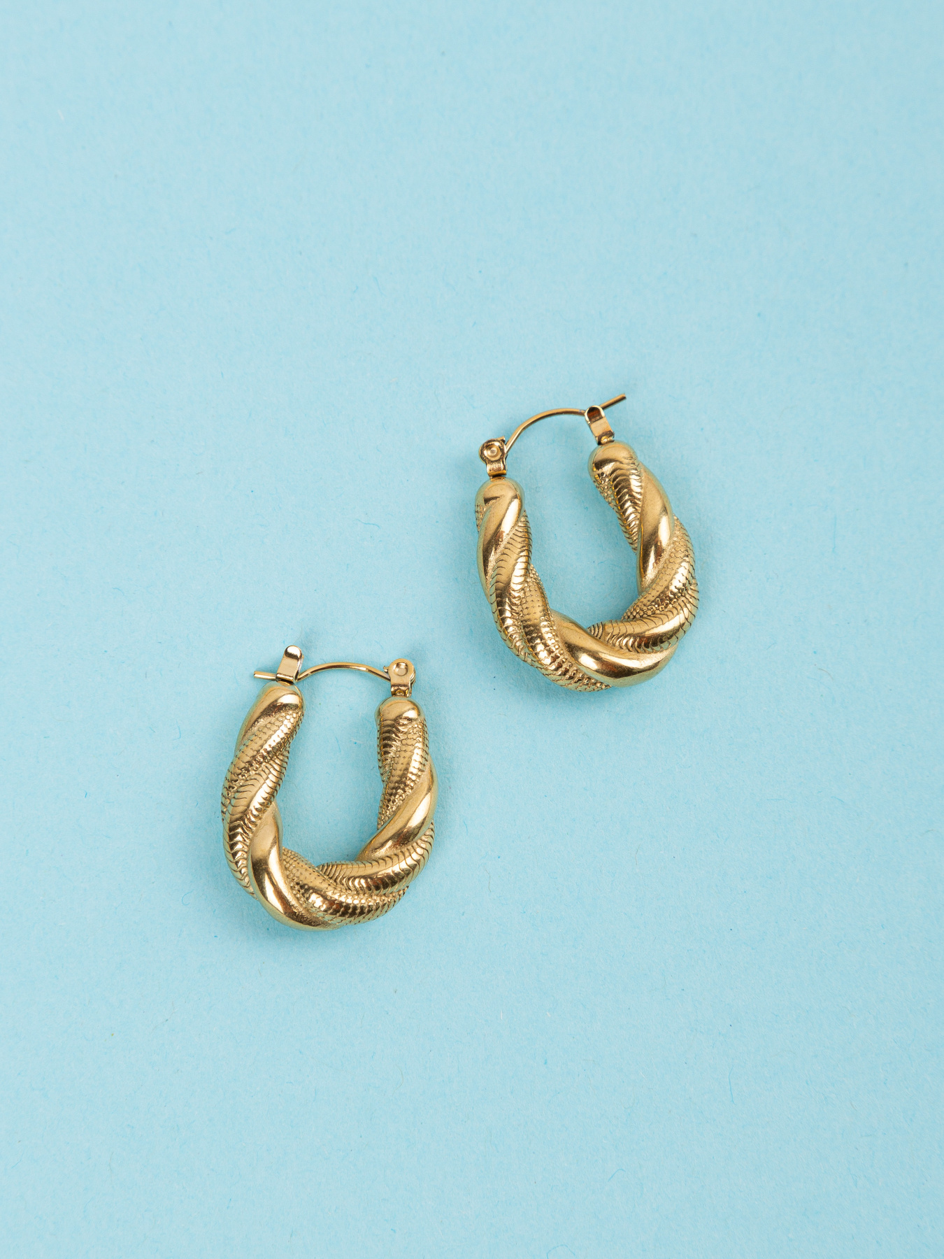 Серьги-кольца Famo модель SER-DM-193_01 Фото