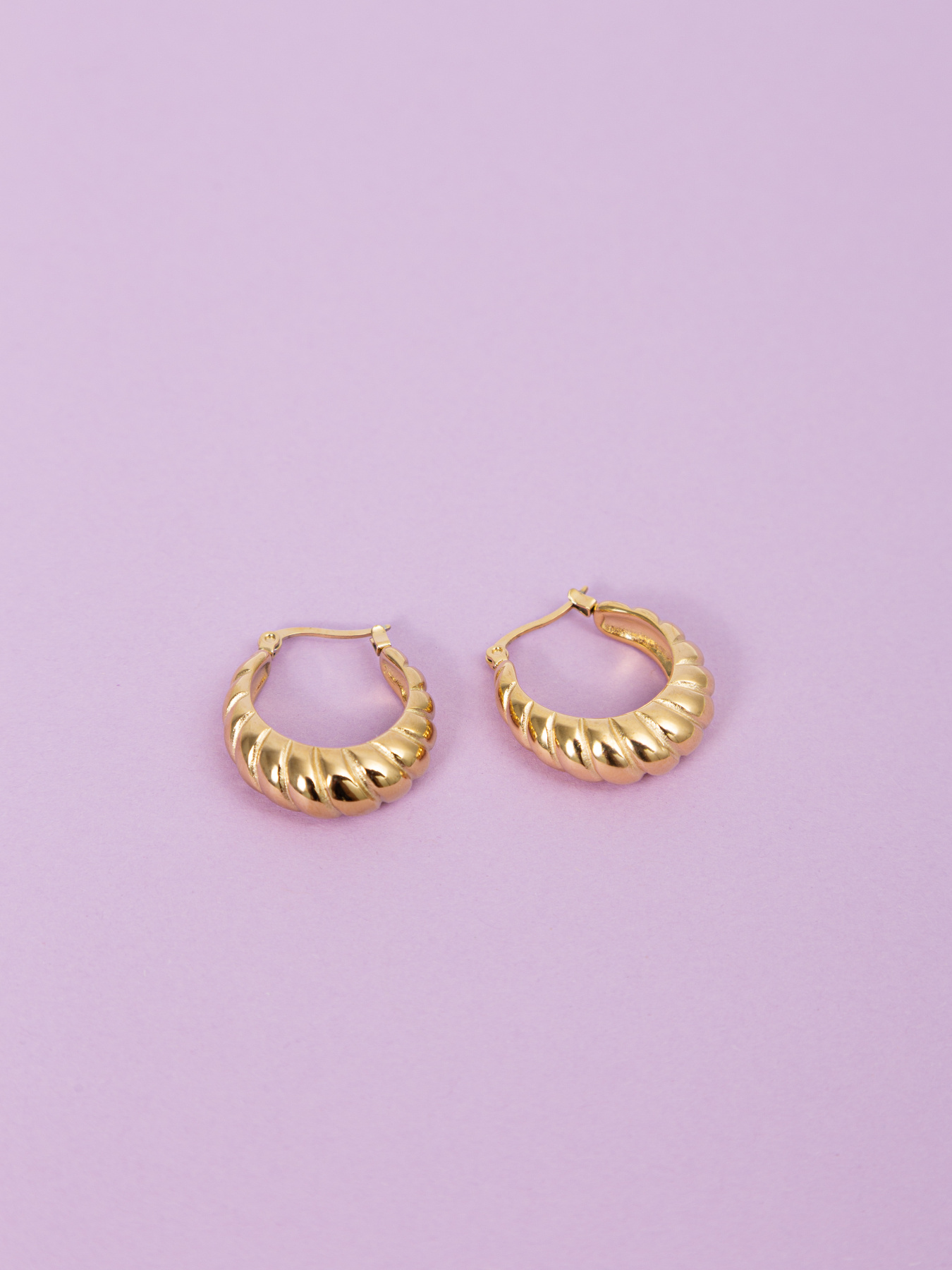 Серьги-кольца Famo модель SER-DM-211_01 Фото