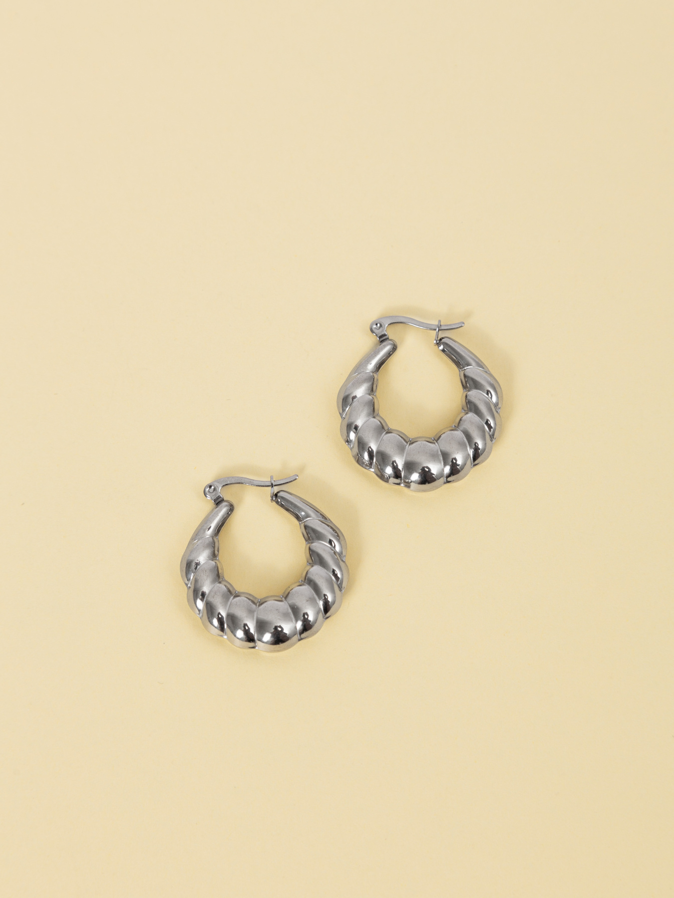 Серьги-кольца Famo модель SER-DM-20069-1_02 Фото