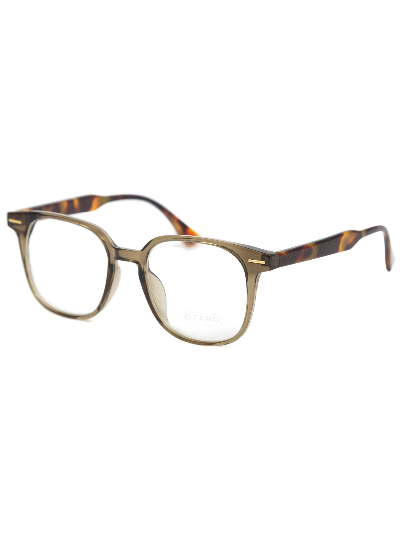 Іміджеві окуляри Famo модель M65002_02 Фото