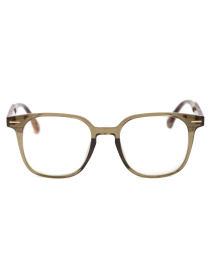 Іміджеві окуляри Famo модель M65002_02 Фото