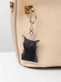 Брелоки Famo модель BR-20_09 Брелоки Famo модель BR-20_09 Фото