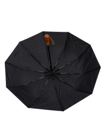 Парасолька Famo модель PK-A-1001_01 Фото
