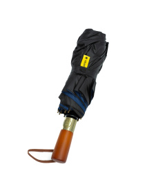 Парасолька Famo модель PK-A-1001_02 Фото