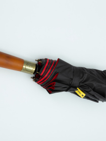 Парасолька Famo модель PK-A-1001_03 Фото