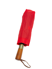 Парасолька Famo модель PK-A-1001_03 Фото