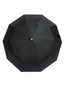 Парасолька Famo модель PK-A-1001_03 Фото
