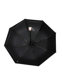 Парасолька Famo модель PK-A-1005_01 Фото